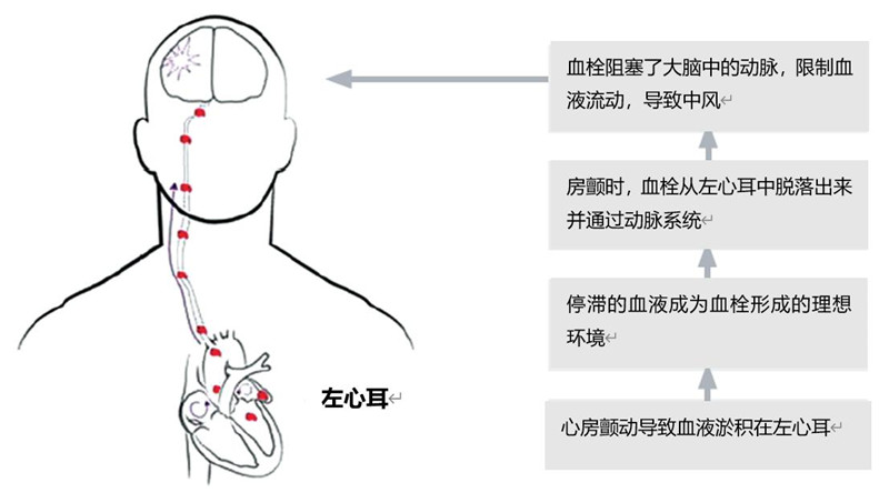 圖片5.jpg